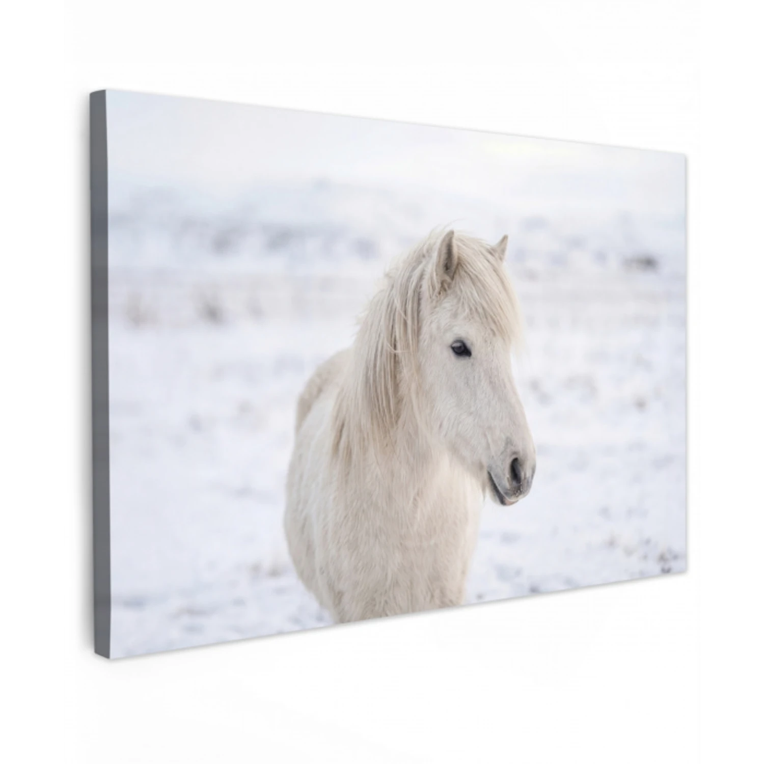 Paard - Kop - Winter - Dieren - Wit canvas 2cm klein -z3d
