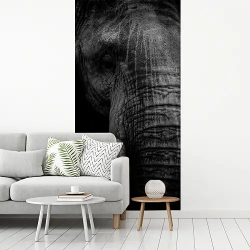 Olifant - Dier - Portret fotobehang vinyl groot -woonkamer