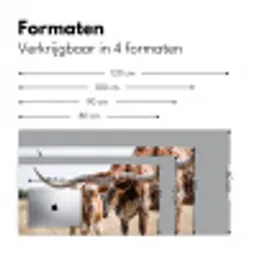 Texas Longhorn - Kalf - Weide - Dieren Muismat XXL klein -sfeer5
