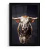 Stier - Kleurrijk - Hoorns fotolijst zwart zonder passe partout klein -3d