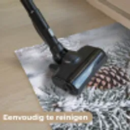 Dennenappel - Tak - Sneeuw - Winter - Sfeervol Deurmat klein -reinigen_NL