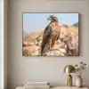 Valk - Vogel - Rots - Macht Textielframe zwart klein -sfeer2