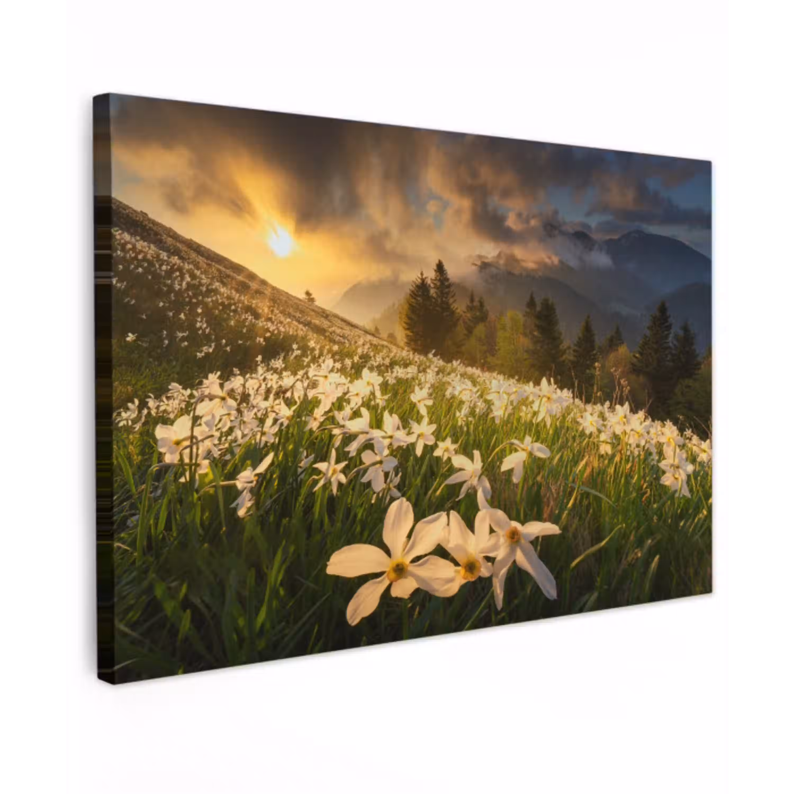 Bloemenveld - Heuvels - Zonsondergang - Berg - Natuur - Wit - Heuvels Tuinposter op houten frame 2 cm dik klein -3d