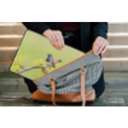 Vogel - Tak - Natuur - Kleurrijk laptophoes neopreen klein -tas