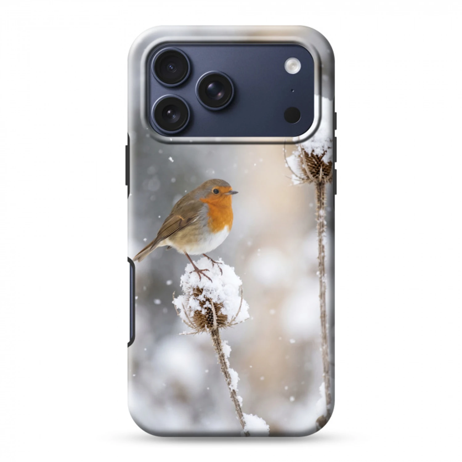 Roodborstje - Gedroogde bloem - Sneeuw - Winter - Vertederend Toughcase MagSafe Apple iPhone 17 Pro Max klein -3d