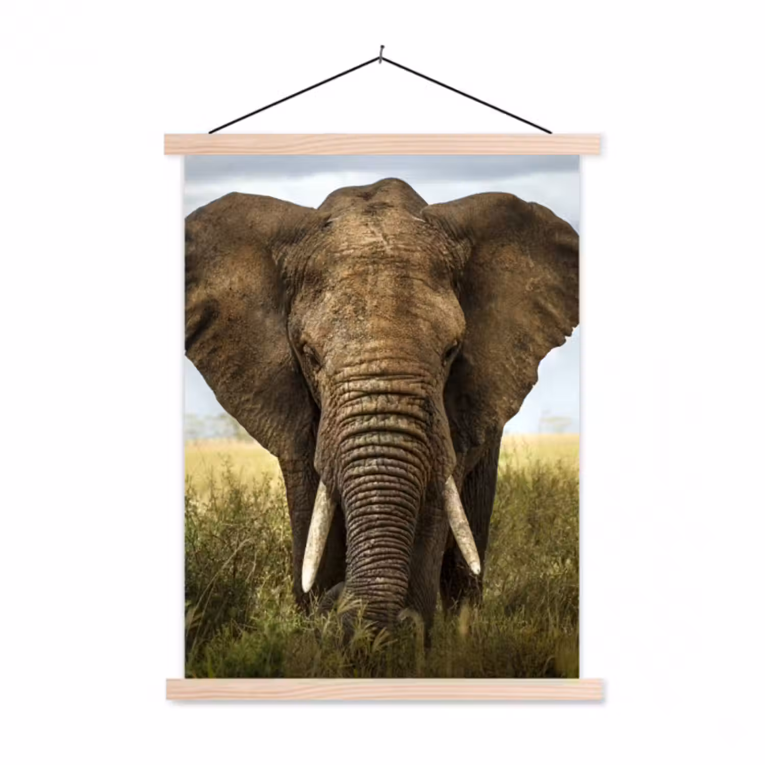 Stoffbild - Elefant - Natur - Gras - Tiere - Landschaft