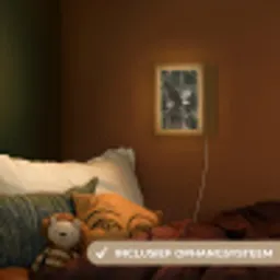 Zeearend - Vliegen - Bos - Natuur Light Box met kabel (Kinderlampje) klein -sfeer5_kind