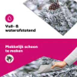 Dennenappel - Tak - Sneeuw - Winter - Sfeervol Inductie beschermer vinyl 3mm klein -wsfeer6_website