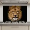 Leeuw - Portret - Zwart - Dieren keuken achterwand spatscherm klein -3d_website