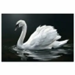 Zwaan - Water - Natuur - Realistisch - Wit poster papier klein -3d