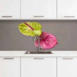 Planten - Anthurium - Groen - Roze keuken achterwand 2 middel -3d