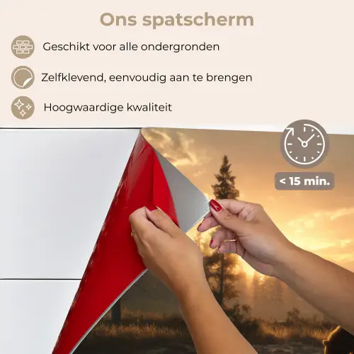 Beer - water - Bos - Ochtendlicht keuken achterwand spatscherm klein -spatscherm_NL