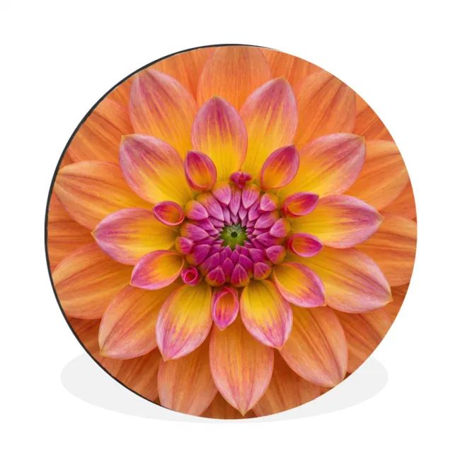 Muurcirkel aluminium Dahlia - Bloem - Oranje