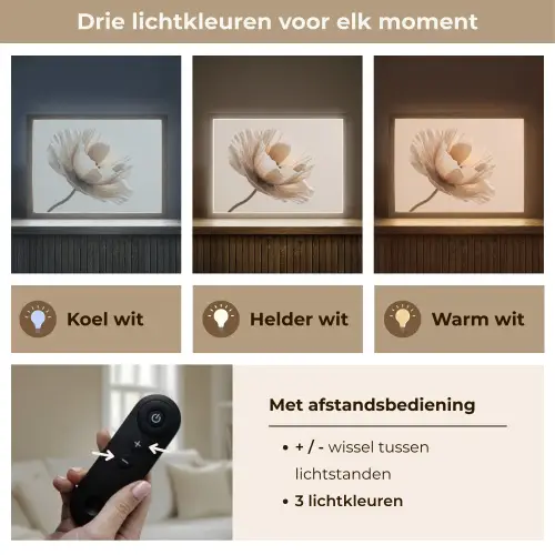 Bloem - Beige - Crème Light Box met batterij (Wandlamp) middel -USP_lichtkleurNL