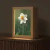 Narcis - Bloem - Wit - Grassprieten Light Box met kabel (Tafellamp) klein -z3d_website