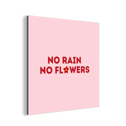 No rain no flowers - Minimalistisch - Roze - Bloem aluminium wit klein -3d