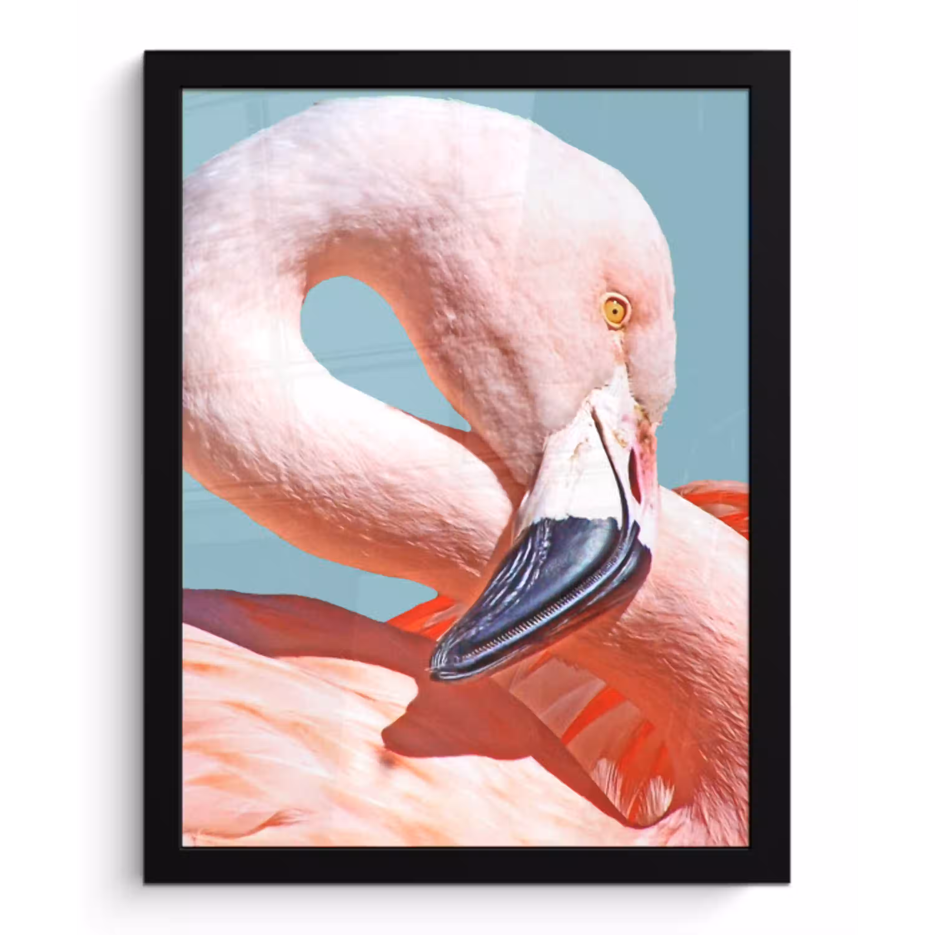 Close-up flamingo fotolijst zwart zonder passe partout klein -3d