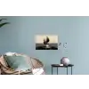 Cirkels - Schaduw - Abstract Muursticker klein -plant