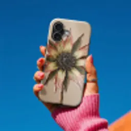 Droogbloem - Protea - Vintage - Beige - Rustiek Toughcase MagSafe Apple iPhone 17 klein -Sfeer1V