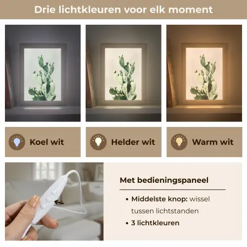 Cactus - Groen - Minimalistisch Light Box met kabel (Tafellamp) klein -USP_lichtkleurNL
