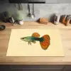 Vis - illustratie - Stippen - Oranje Inductie beschermer vinyl 3mm klein -sfeer5