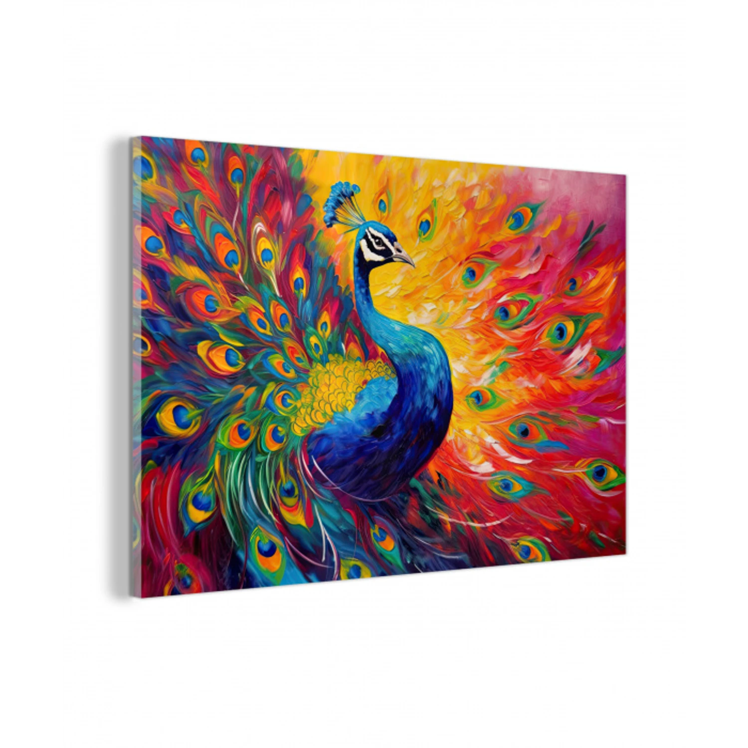 Pauw - Kunst - Schilderij - Pauwenveren plexiglas 5mm klein -z3d