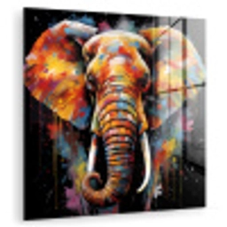 Olifant - Graffiti - Zwart - Dieren - Kleuren plexiglas 5mm klein -zzzproduct_nieuw