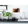 Paard - Zonsondergang - Bruin Muursticker klein -keuken