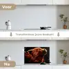 Schotse hooglander - Koe - Hoorns - Portret - Dieren keuken achterwand spatscherm klein -voor_na_NL