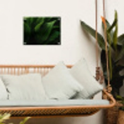 Bladeren - Schaduw - Groen - Textuur tuinposter los doek klein -sfeer7