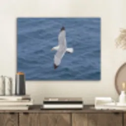 Zeemeeuw - Oceaan - Blauw PET vilt klein -sfeer1