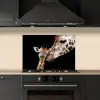 Giraffe - Dieren - Zwart - Portret - Dieren keuken achterwand spatscherm klein -sfeer1