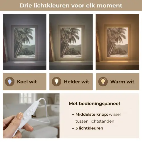 Eiland - Palmboom - Zee Light Box met kabel (Tafellamp) klein -USP_lichtkleurNL