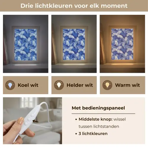 Palmblad - Patroon - Blauw Light Box met kabel (Tafellamp) klein 925 -USP_lichtkleurNL