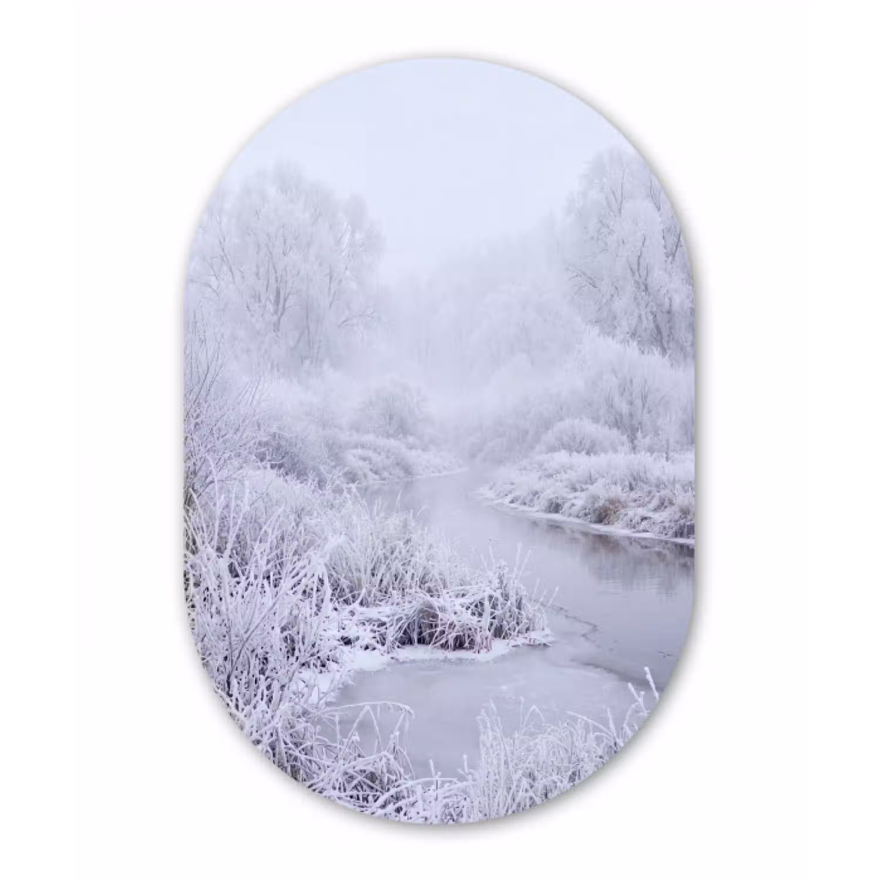 Rivier - Sneeuw - Bos - Winter - Schilderachtig Wandcirkel Ovaal Aluminium middel -3d
