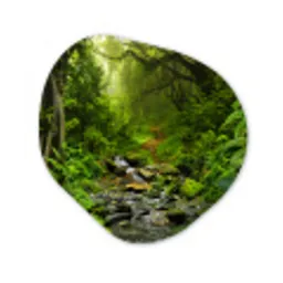 Natuur - Water - Jungle - Bos - Tropisch Wandcirkel Organisch Forex 3mm klein -3d