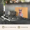 Zonnebril - Kat - Sjaal - Bloemen keuken achterwand spatscherm klein -usp_NL