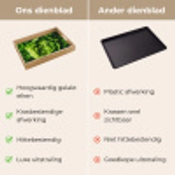 Groente - Sla - Groen Dienblad Rechthoek middel -USP_VergelijkingNL