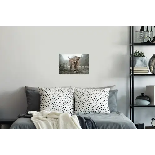 Schotse Hooglander - Bos - Mist - Koe - Dieren - Natuur Muursticker klein -slaapkamer