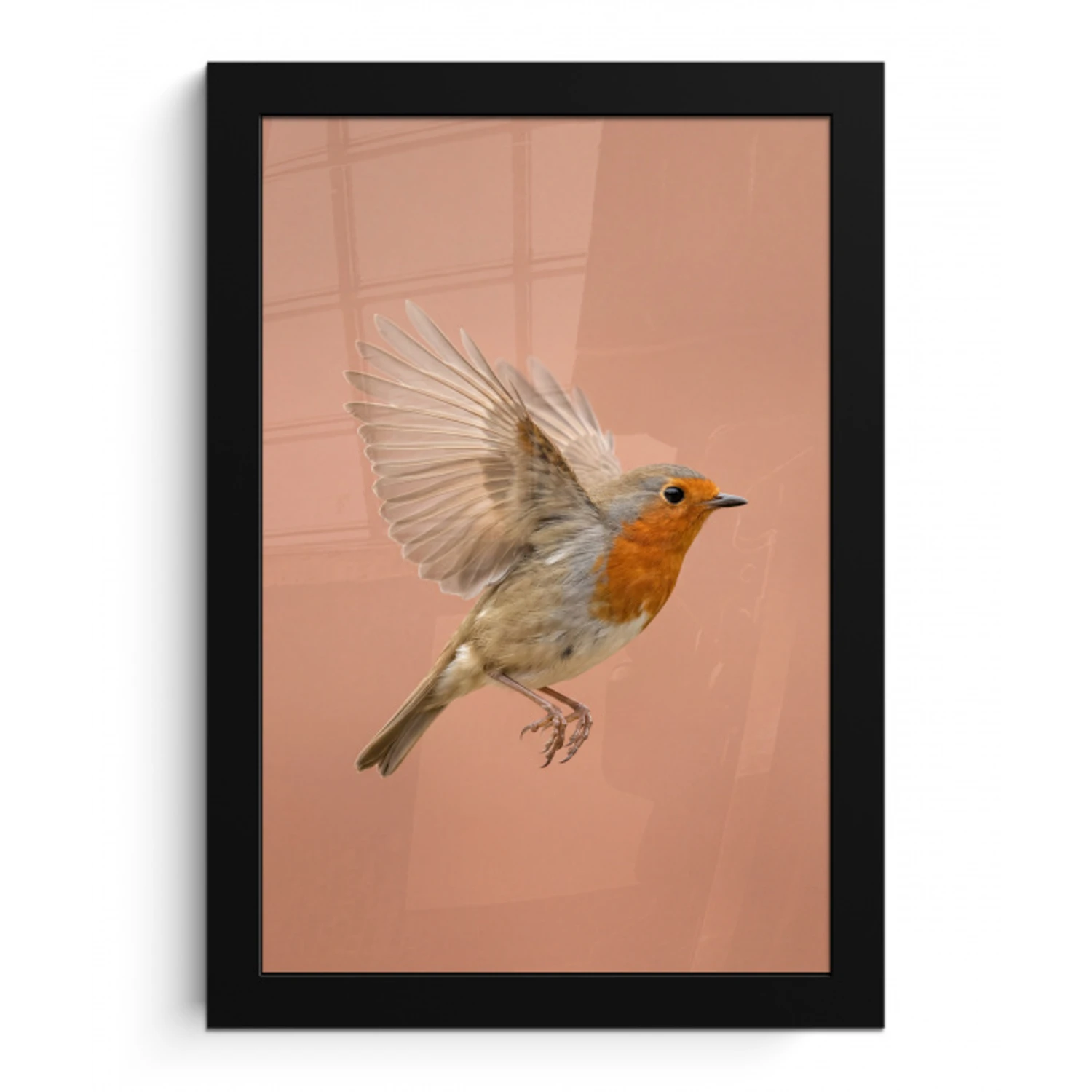 Roodborst - Natuur - Roze fotolijst zwart zonder passe partout klein -3d