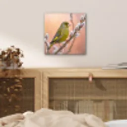 Groenling - Katjes - Lente - Natuur - Zacht aluminium wit klein -sfeer3