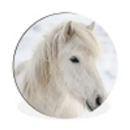 Paard - Kop - Winter - Dieren - Wit Wandcirkel aluminium klein -3d