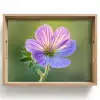 Bloem - Close up - Paars Dienblad Rechthoek middel -z3d_shopping