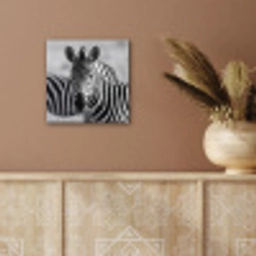 Zebra's - Zwart - Wit aluminium wit klein -sfeer4