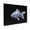 Porselein - Goudvis - Delfts - Blauw canvas 2cm klein -z3d