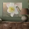 Narcis - Bloem - Minimalistisch PET vilt klein -sfeer2