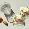 Bloesems - Zonlicht - Quote - Wit onderzetter kurk middel -sfeer4