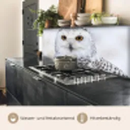 Sneeuwuil - Oog - Wildlife - Wit keuken achterwand 2 middel -usp_DE