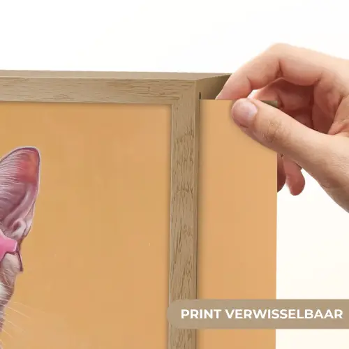 Zonnebril - Kat - Sjaal - Bloemen Light Box met batterij (Wandlamp) middel -USP_websiteprintNL