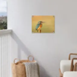 Vogel -IJsvogel - Tak tuinposter los doek klein -sfeer8